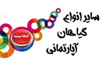 فروش انواع گل ها و گیاهان آپارتمانی و داخلی